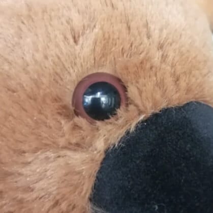 Plastic nose and eye