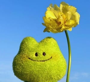 The timeless appeal of plush toys: an emotional bond that transcends childhood